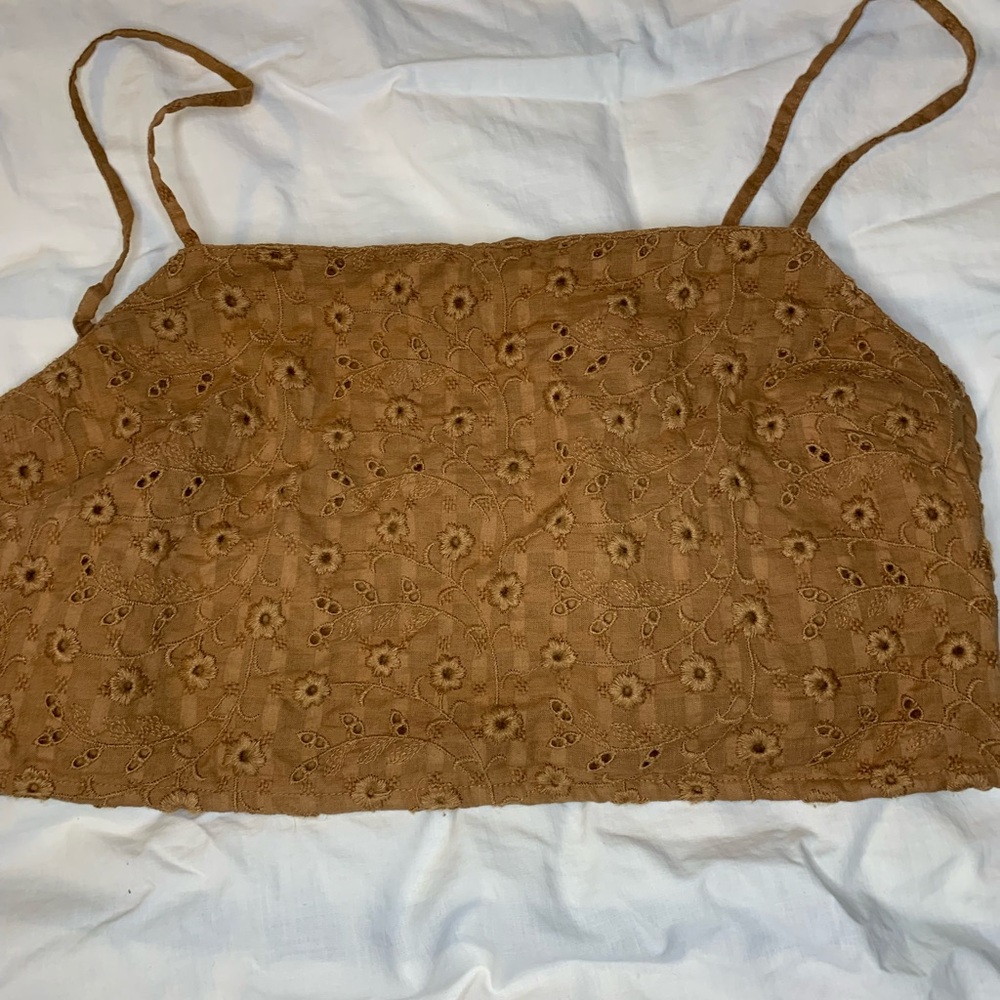 American Eagle Outfitters Tan Floral Lace Crop Top
